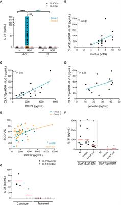 Allergen sensitization stratifies IL-31 production by memory T cells in atopic dermatitis patients